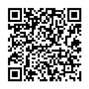 我可不能保证自己一定能从伏羲的信息碎片中重生二维码生成