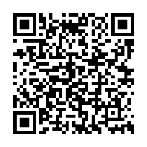 我可不能让自己的每个弟子都表现出柔弱的一面二维码生成