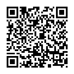 我可以从十六姐身边调两个合适的过来借用一天二维码生成