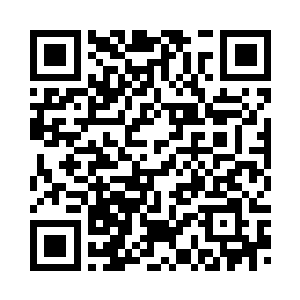 我可以保证小舞一家绝对不会有事二维码生成