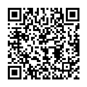 我可以做主向清北大学的高招办申请给你一个特招生的名额二维码生成