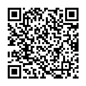 我可以将你们之间的打赌理解为同事之间的玩笑吗二维码生成