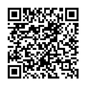 我可以帮你把消息传递回去……这样岂不是省时又省力二维码生成