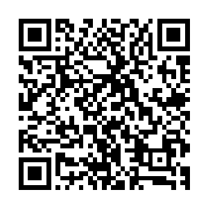 我可以把公司交到你的手里……我不是那种事业心很强的女人二维码生成