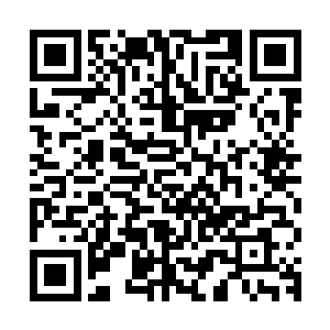 我可以接受你做你的决定……和对我做这样那样我不喜欢的事情二维码生成