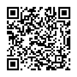 我可以答应你以后开发阵容体系的时候多多为中路考虑二维码生成