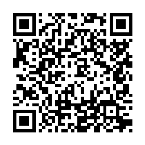 我可把自己的仕途以及身家性命都押在你的身上二维码生成