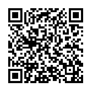 我可是听说师父这些日子一直在苍澜宗给你招收弟子二维码生成