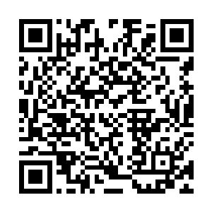 我可是听说我我女婿另一个老婆就是你老婆的得意弟子二维码生成