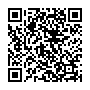 我可是没想到你们这妯娌两人相像的竟然是这一面二维码生成