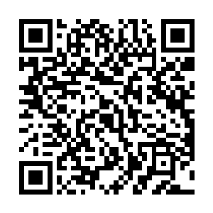 我可是记得咱们的团长大人和这曾护法可是一直作对的二维码生成