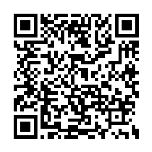 我可是记得当年你们数十位才俊从天津留洋之时二维码生成