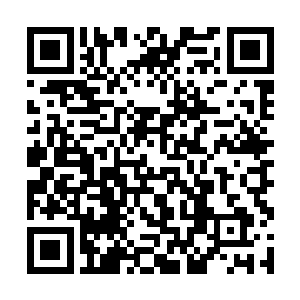 我可能没有这么充足的能量发动这么强悍的时空熔断二维码生成