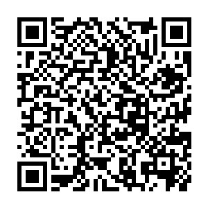 我可能着我那纤细透明的手散发出来的光芒将长生宽厚的手掌同样照得透明二维码生成