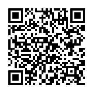 我右手的五根手指都能在十倍的重力之下自由活动了二维码生成