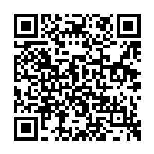 我同意出任香奈儿可可小姐香水的广告导演一职二维码生成