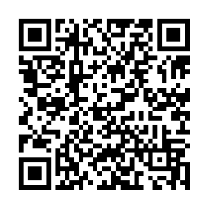 我后来回想过很多次……其实我……或许是可以克制的二维码生成