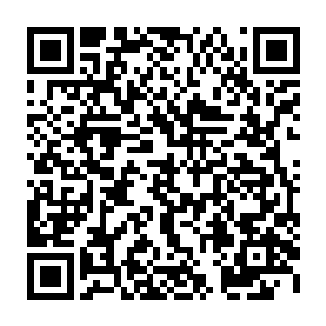 我向他们回去之后应该会将这里发生的事情全都一五一十的给传达过去的吧二维码生成