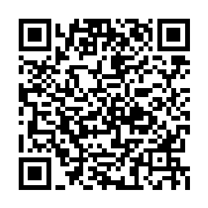 我听完张璐涵的话也跟着翻到了剧本的最后一页二维码生成