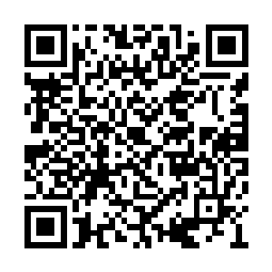我听扬负说他已经请了德国的骨科专家回来是吧二维码生成