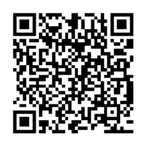 我听说今晚的香槟都是100美元一瓶的上等货――这也是应该的二维码生成