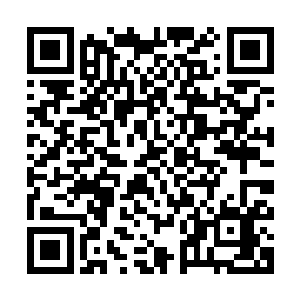 我听说你在寒仙门得到了一坨巨大无比的能量叫什么碧蓝海神的二维码生成