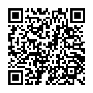 我听说你是负责下发新盟子潜力测试任务的盟子二维码生成