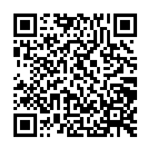 我听说大皇兄那儿已经有十几年没有得过宫里赏赐的腊八粥了二维码生成