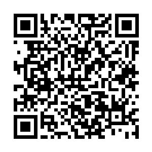 我听说奥利维亚首席认识的是帝综料理系的委员长二维码生成
