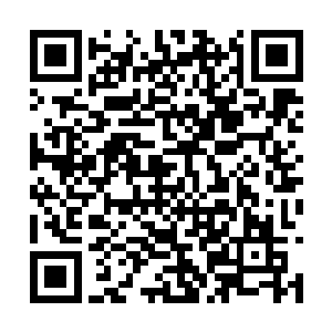 我听说巩哥说你在饭桌上挨个把他们给洗了一遍脑二维码生成