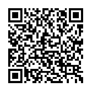 我听说白奇雪不演灰姑娘的时候就知道会是这样二维码生成