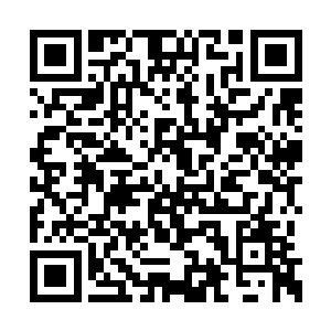 我听说第一代龙威九星曾经是追求梦想和自由的二维码生成