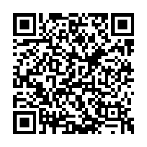 我听说苏夏乃是被女王赐予了符章的天才符印师二维码生成