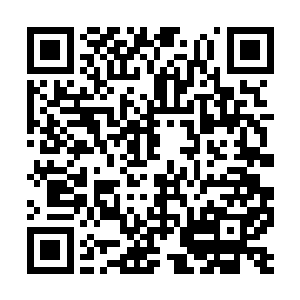 我听说谢尔盖和疯马他们这几天在岛上玩得有点疯二维码生成