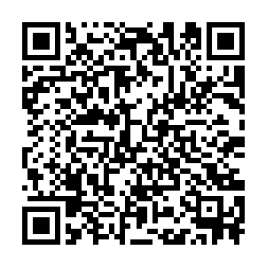 我听说还是燕京一个比袁家还要大声好多倍的大家族出来的名门闺秀二维码生成
