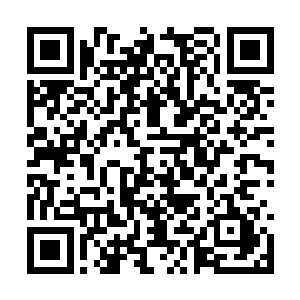 我听齐格村长说你好像在调查灰色山丘这里的兽潮二维码生成