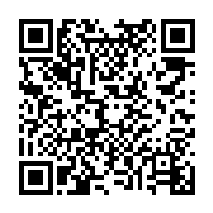 我告诉他骨琴店的后院里养着一个常吃人肉的大狗二维码生成