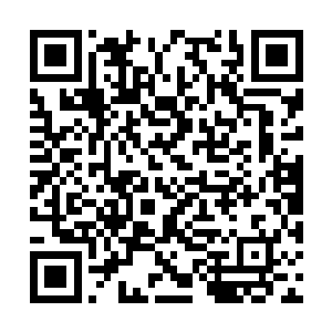 我告诉你们我跑起来你们地级高手也不一定追得上二维码生成