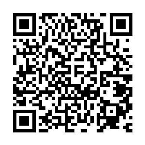 我告诉我……我要是男人……我……我非娶你当……当老婆……二维码生成