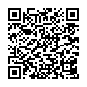 我周南一定会让他们将这一百亿全部都砸在手里二维码生成