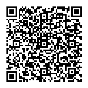 我周围的乘客也由穿着随意汗味浓厚的糙老爷们变成了玩手机浑身散发着香水味儿的时尚年轻女孩子二维码生成