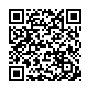 我和一只小鸡一起给奥利嚼碎叶子糊上去的二维码生成