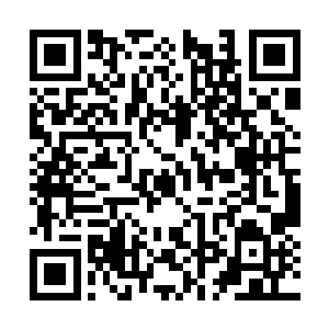 我和万松小只能是暂时神情郁闷的等待这结果出来二维码生成
