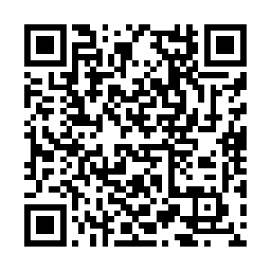 我和你大师哥虽然是药香铺年轻一辈中的顶尖人物二维码生成