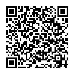 我和你嫂子来的时候已经和金钩屯里来抱虎城里送粮的李大壮约好了二维码生成