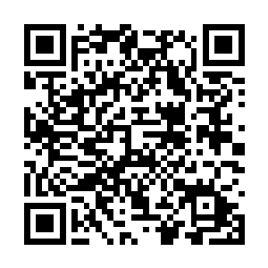 我和保罗接受的钓鱼训练跟神学的教导是一样多的二维码生成