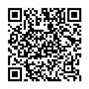 我和六式使用者交手的次数已经多到数不过来了二维码生成