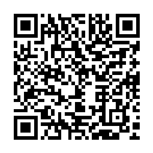 我和准提师弟只是不想洪荒生灵为了鸿蒙紫气导致生灵涂炭罢了二维码生成