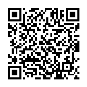 我和勃拉姆也觉得这个水瓜酒里面多了一点啤酒的味道二维码生成