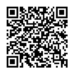 我和印兄皆是元圣中的翘楚……可他竟能以一敌二二维码生成